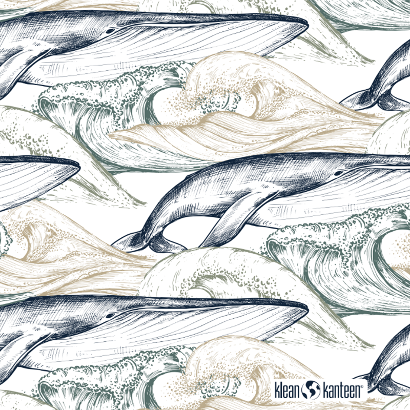 20oz-tkwide-with-twist-cap-ocean-day-v9 20oz_tkwide_bottle_seasonal_ocean_day_whale_artwork_square.png