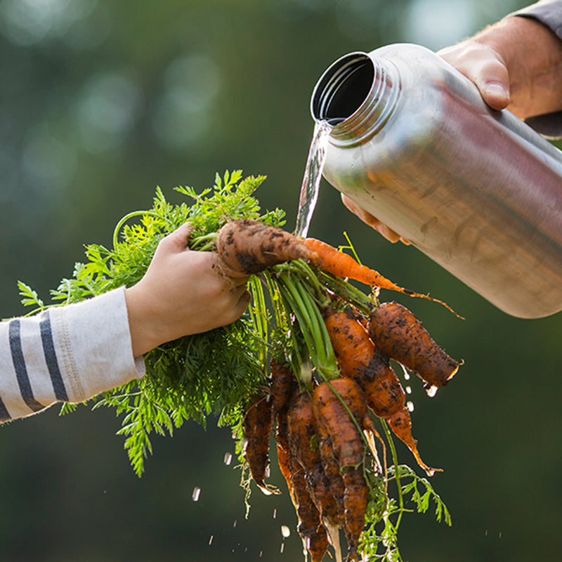 64oz-wide-with-loop-cap-c4 64oz_wide_mouth_bottle_carrots_rinse_square.jpg