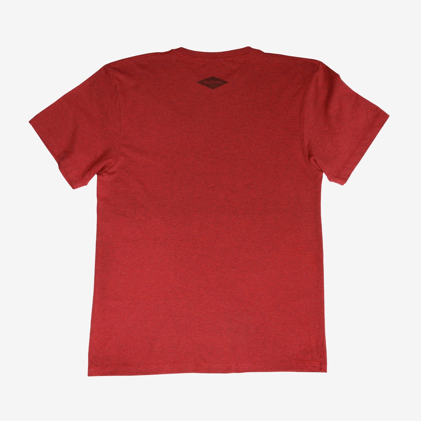 backyard-t-shirt-u0 Shirt_Mtn_Back.jpg